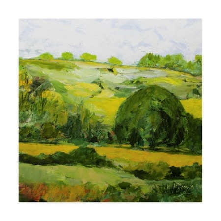 Allan Friedlander 'Lacey Green' Canvas Art,35x35